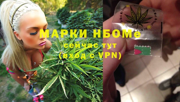 молекула духа Бронницы